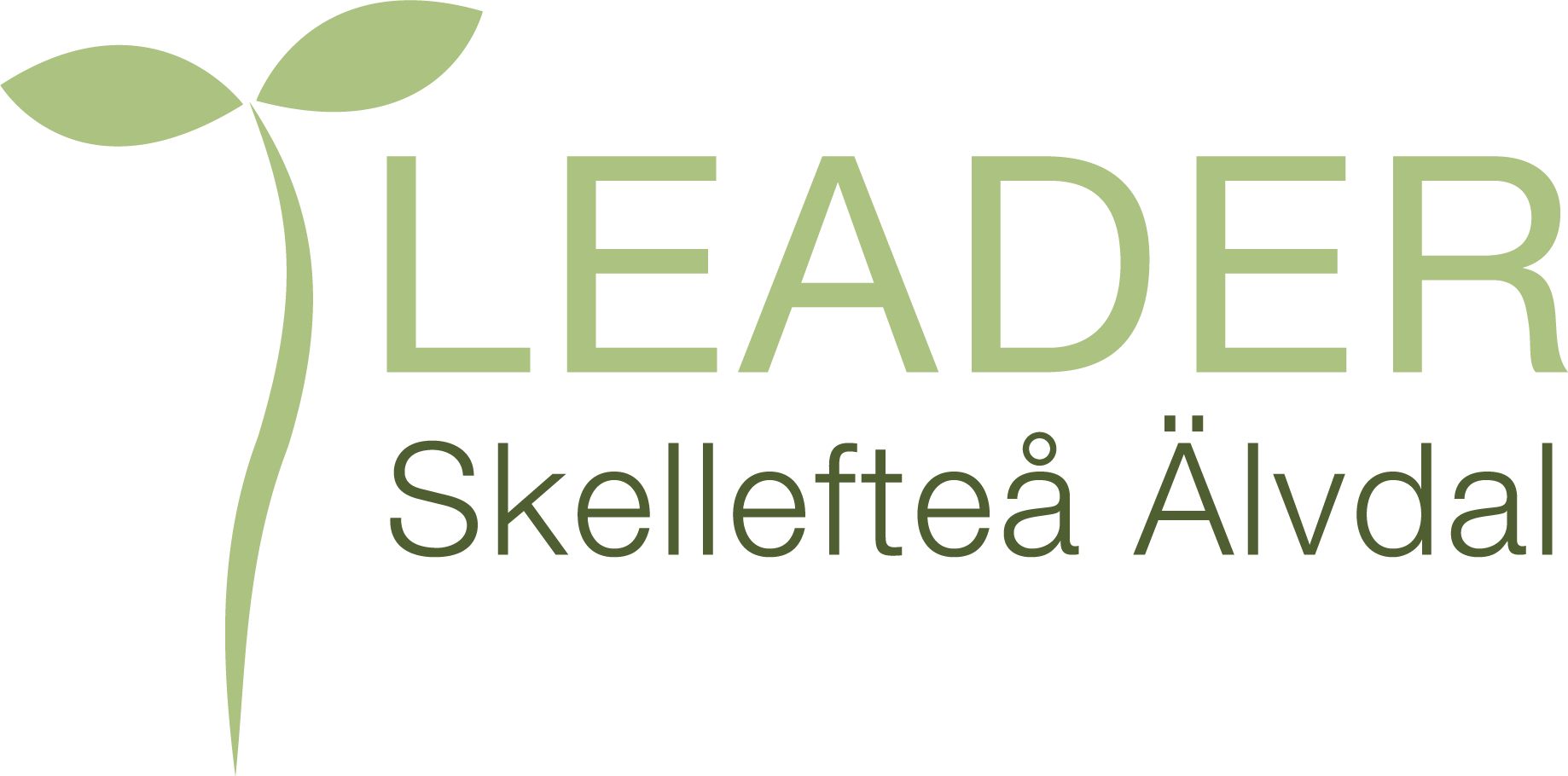 Logo Leader Skellefteå Älvdal Färg